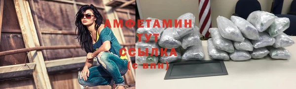 PSILOCYBIN Новодвинск
