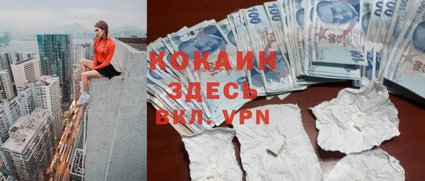 хмурый Арсеньев