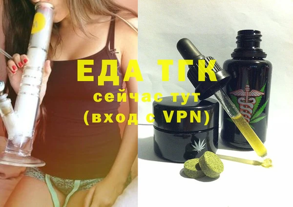 хмурый Арсеньев