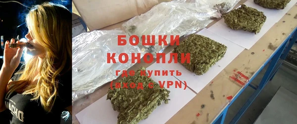 хмурый Арсеньев
